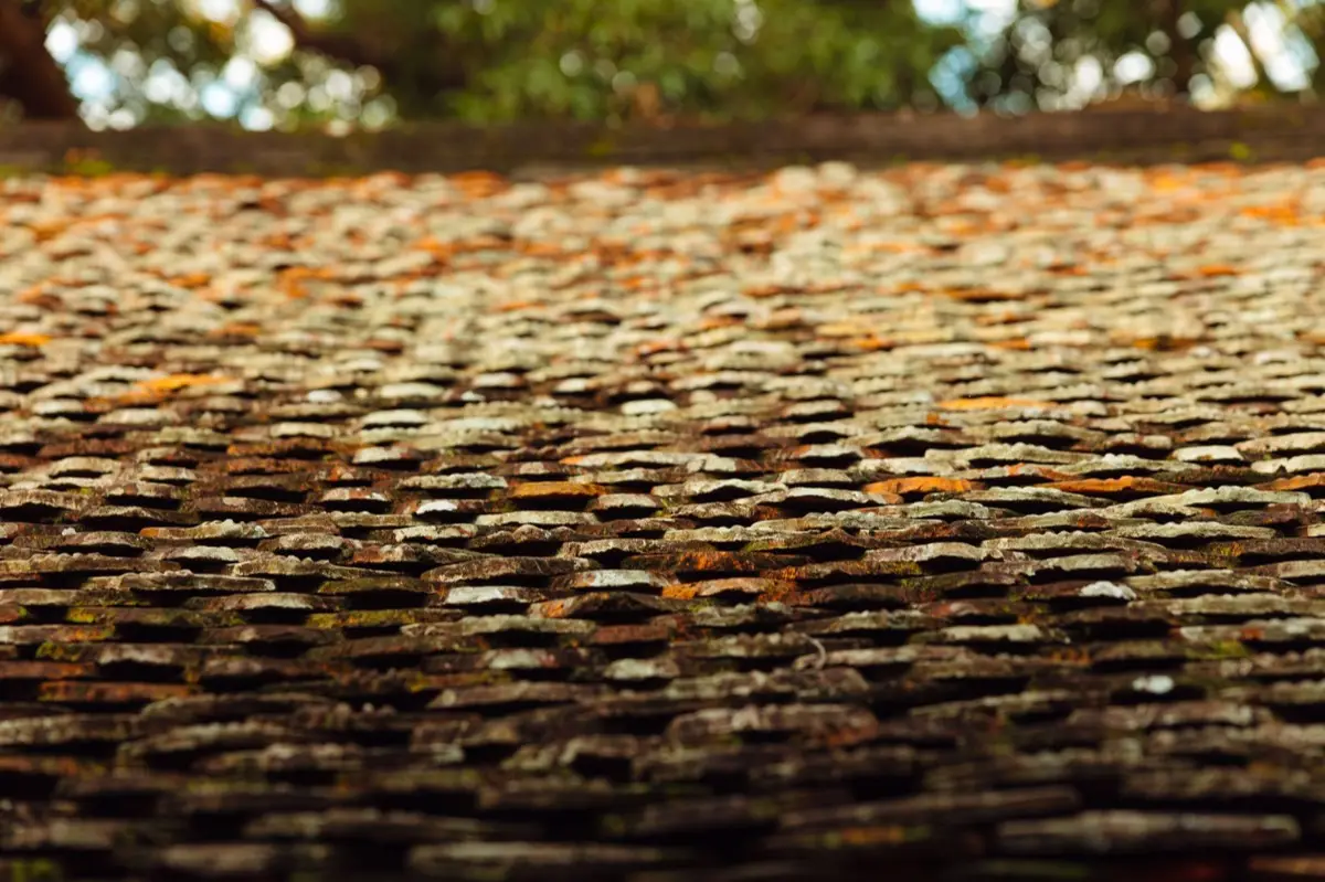 Aging shingle roof with moss growth and granule loss in Stamford, CT